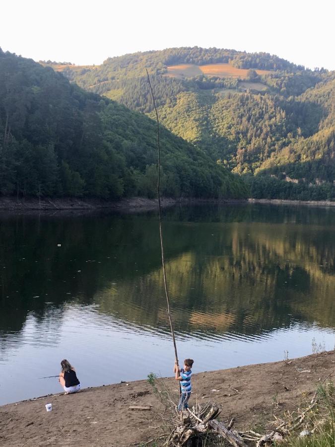 Cabana Baraj Apuseni Mountains Mihoesti Exteriér fotografie