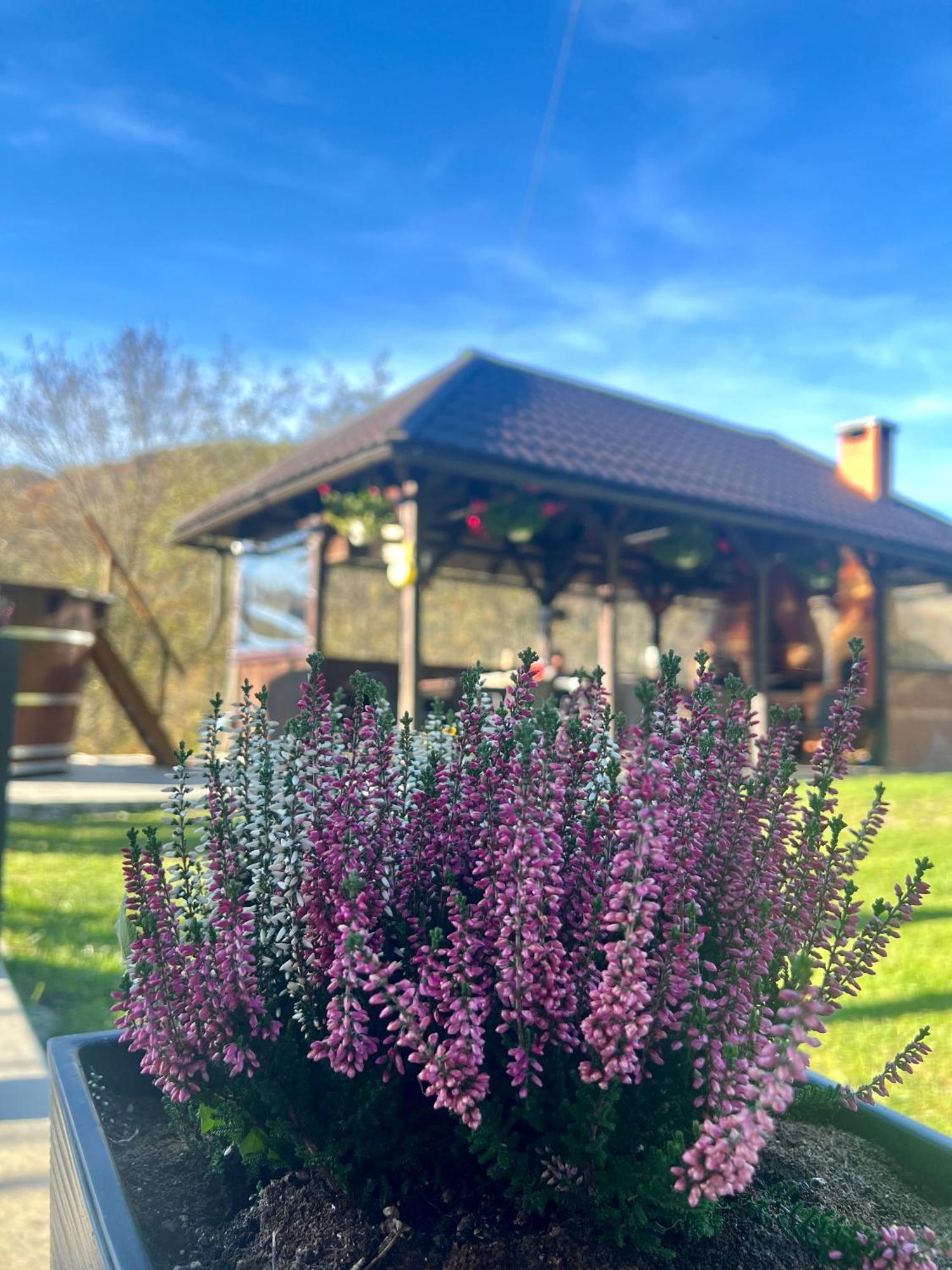 Cabana Baraj Apuseni Mountains Mihoesti Exteriér fotografie