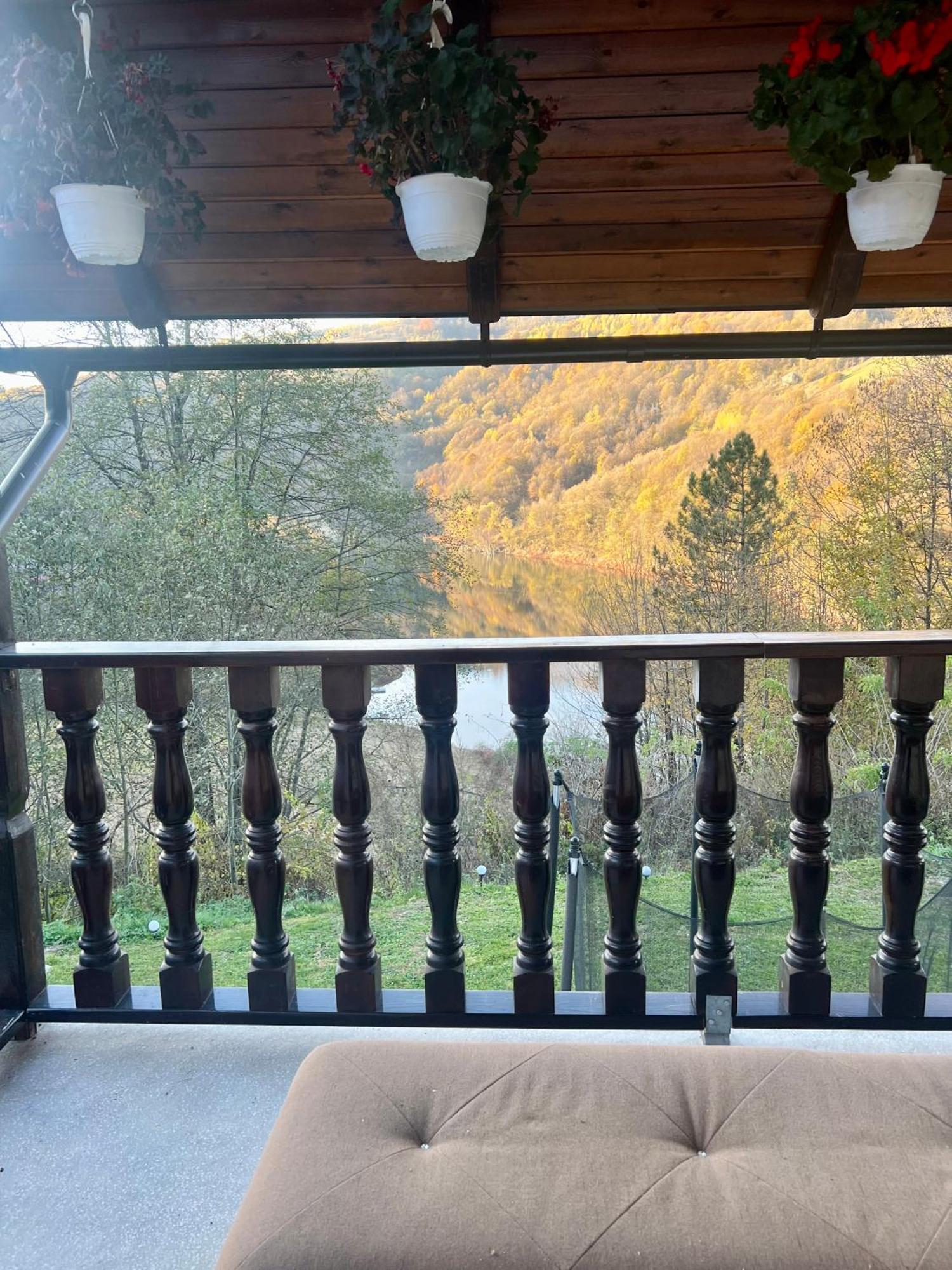 Cabana Baraj Apuseni Mountains Mihoesti Exteriér fotografie