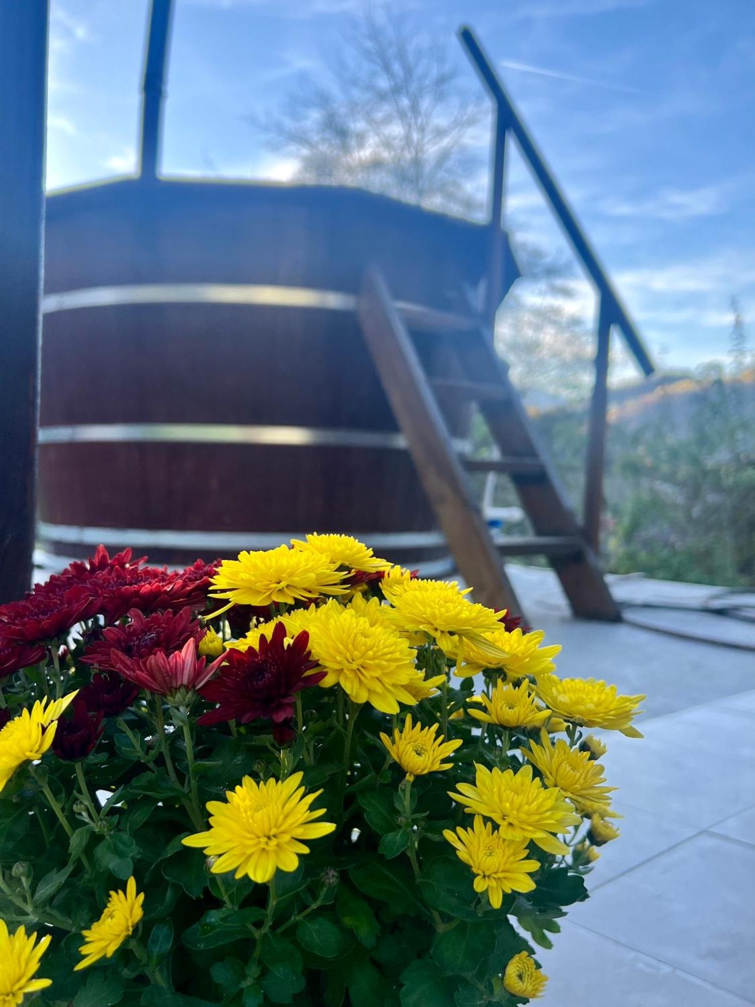 Cabana Baraj Apuseni Mountains Mihoesti Exteriér fotografie